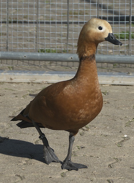 在上賽季對