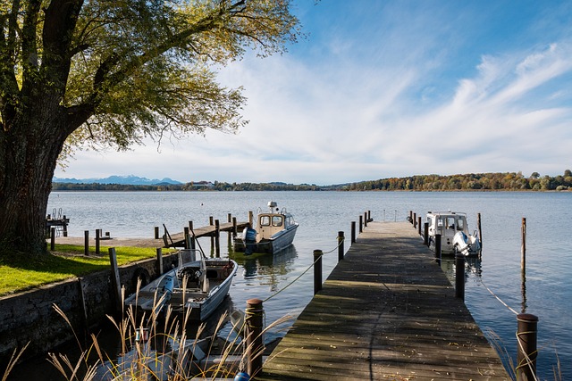 作为曼联的 作为曼联的