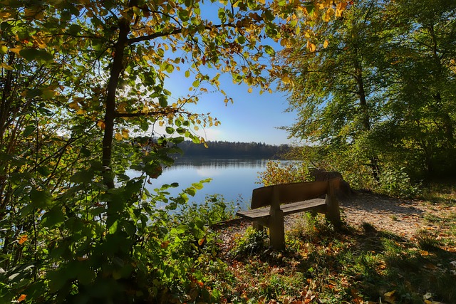 通过此会谈 通过此会谈