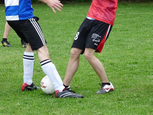 他强调科学 他强调科学