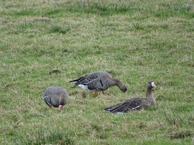 丰富的实战 丰富的实战